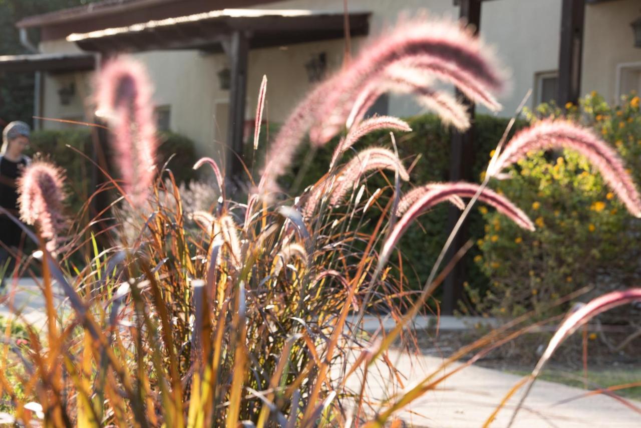 Kibbutz Tiratzvi - Country Lodging Tirat Zevi Ngoại thất bức ảnh