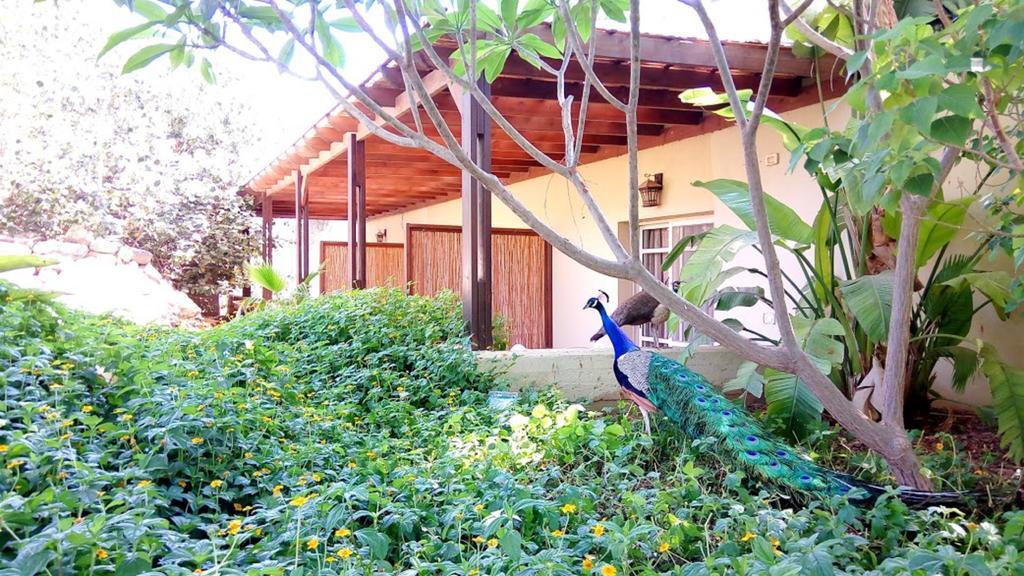 Kibbutz Tiratzvi - Country Lodging Tirat Zevi Ngoại thất bức ảnh
