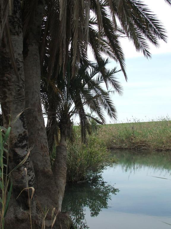 Kibbutz Tiratzvi - Country Lodging Tirat Zevi Ngoại thất bức ảnh