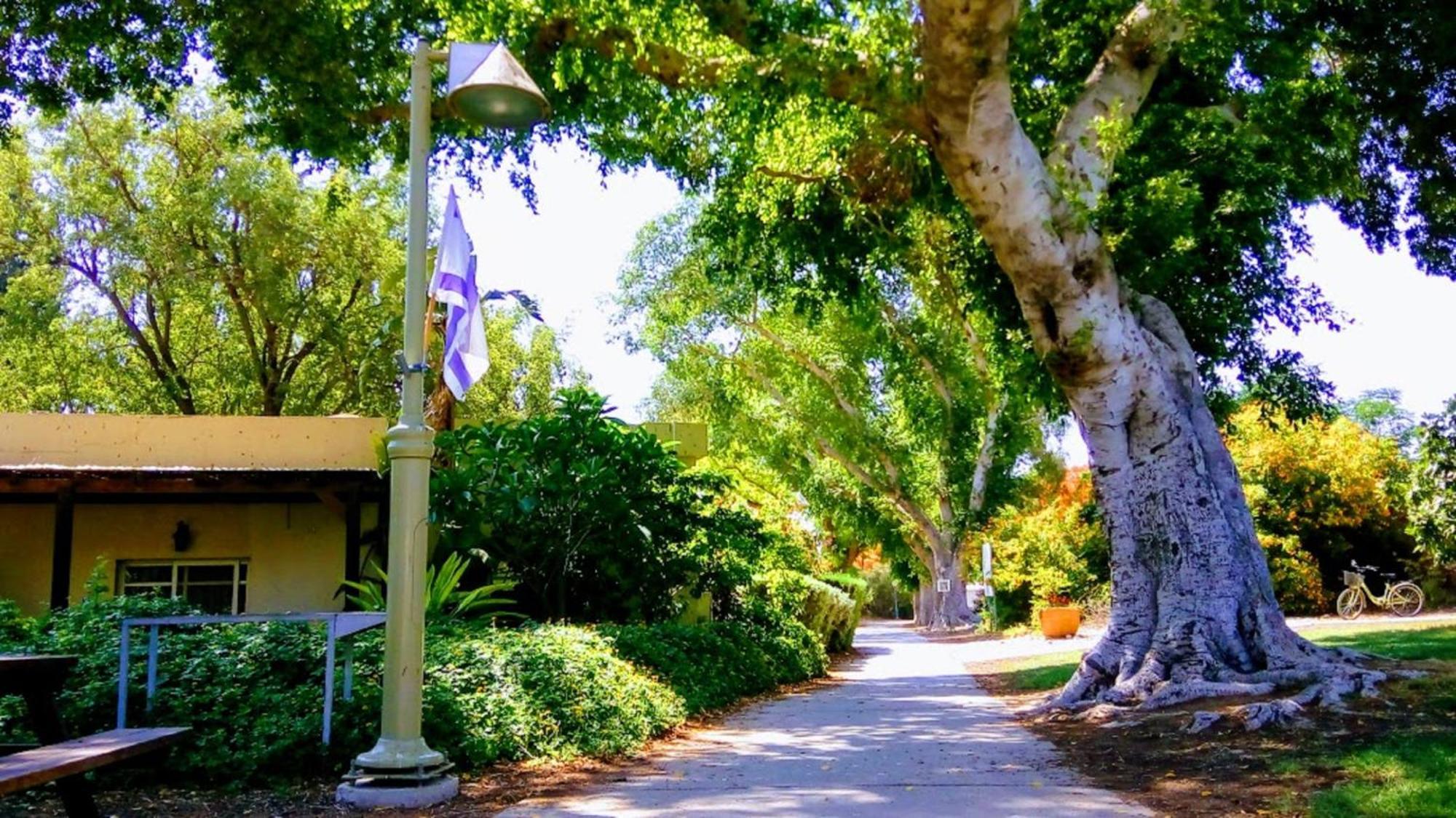 Kibbutz Tiratzvi - Country Lodging Tirat Zevi Ngoại thất bức ảnh